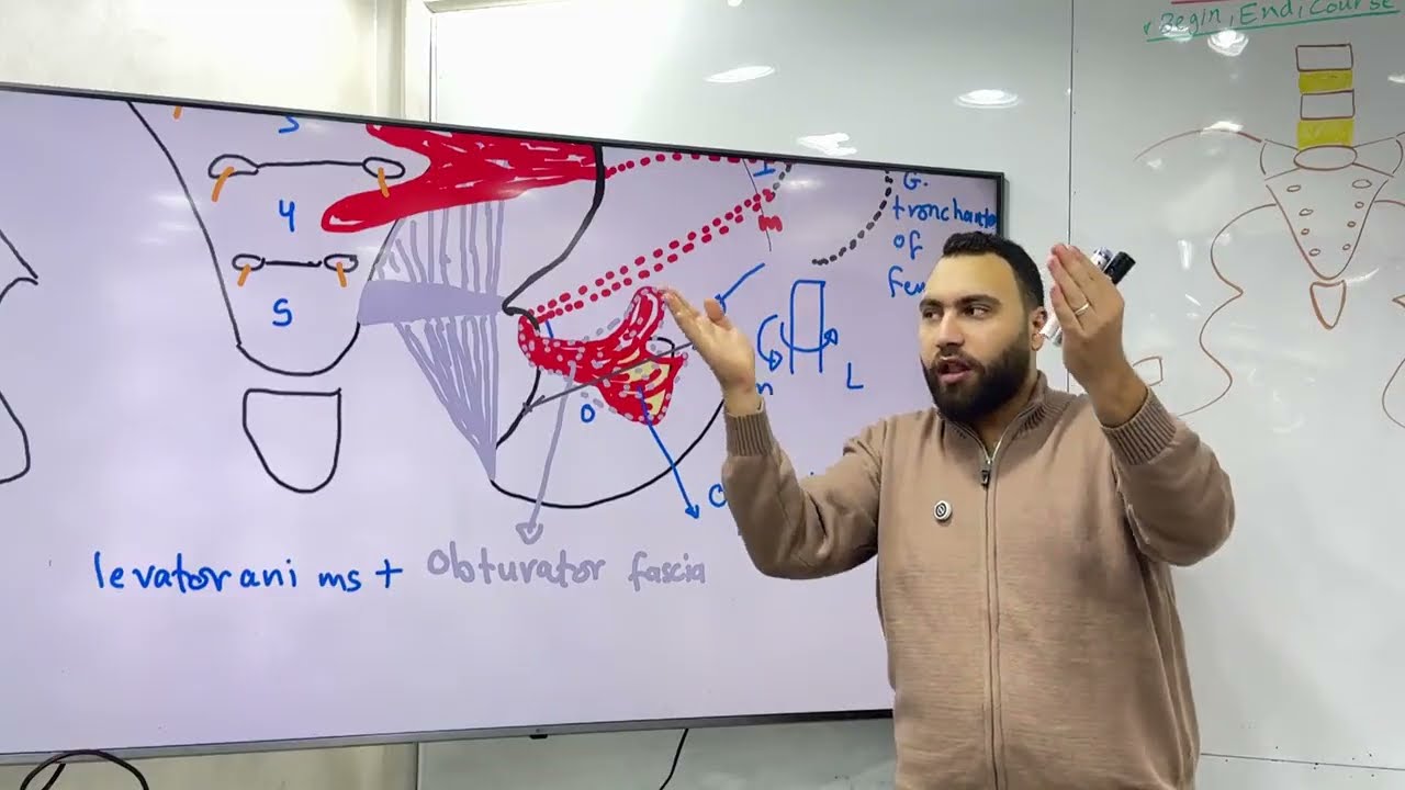 LECTURE 2 ANATOMY PELVIS KA-198