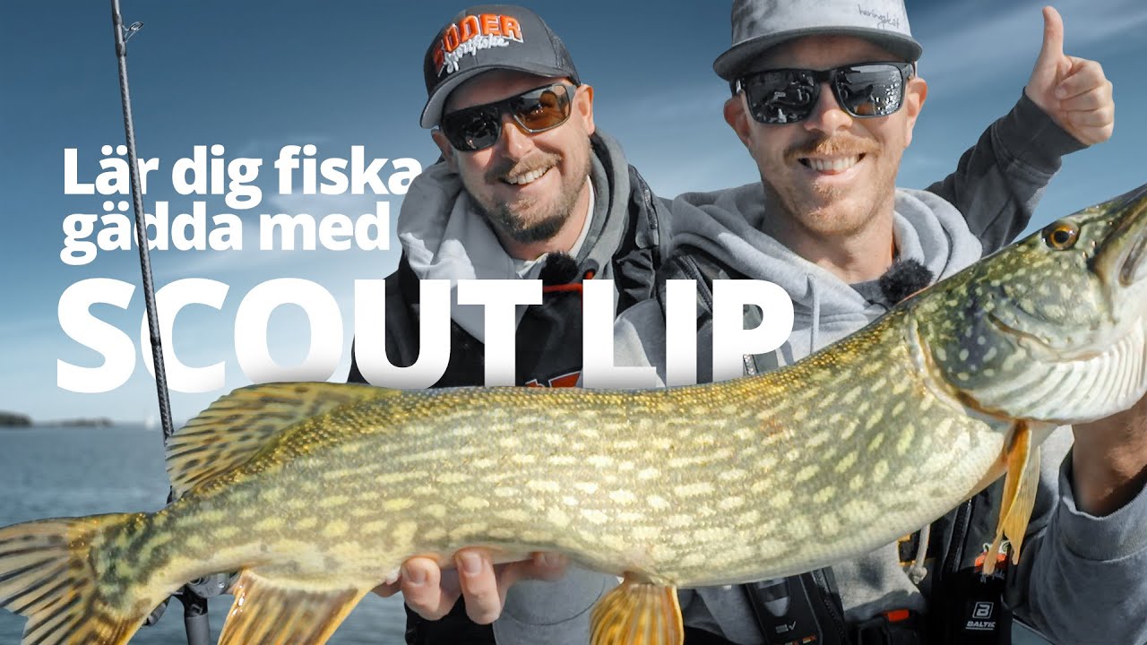 Lär dig fiska gädda med Scout Lip | Sportfiskeprylar.se