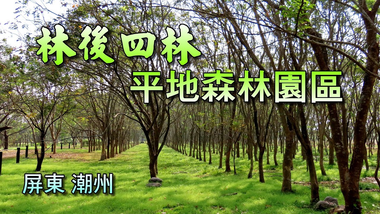 屏東潮州林後四林平地森林園區