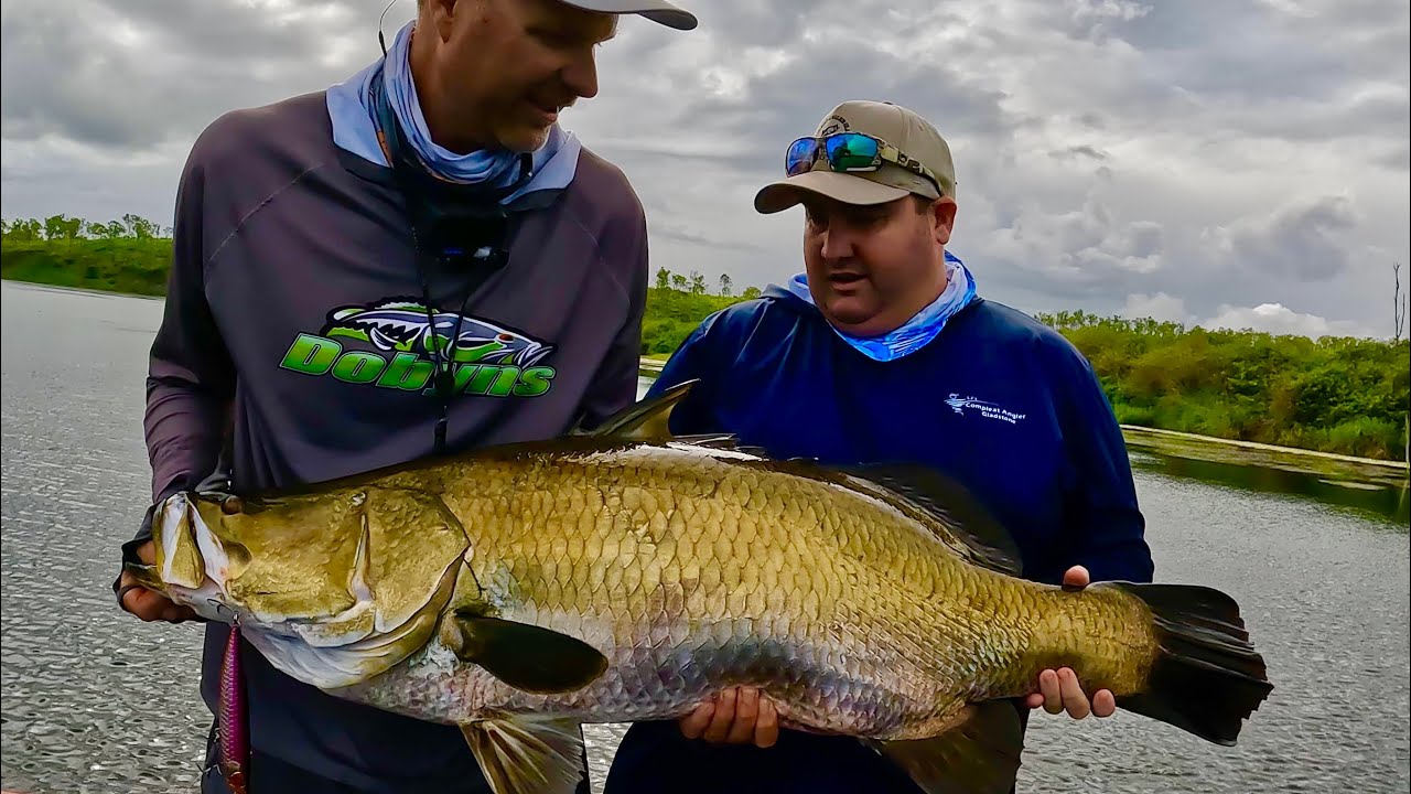 CRAZY TOPWATER BARRAMUNDI / AWOONGA DAM