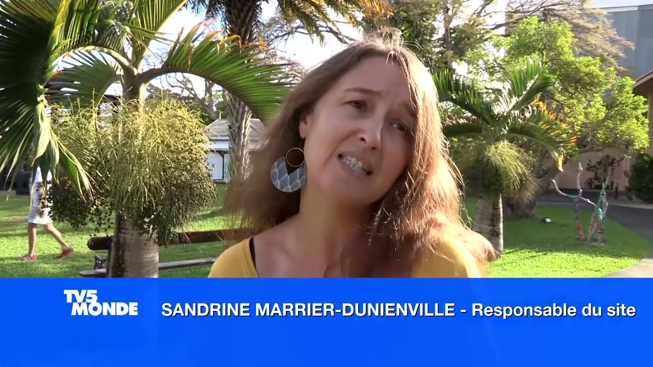 Tour de Maurice 2023 I Le mag : La canne à sucre est l'emblème de l'île Maurice,