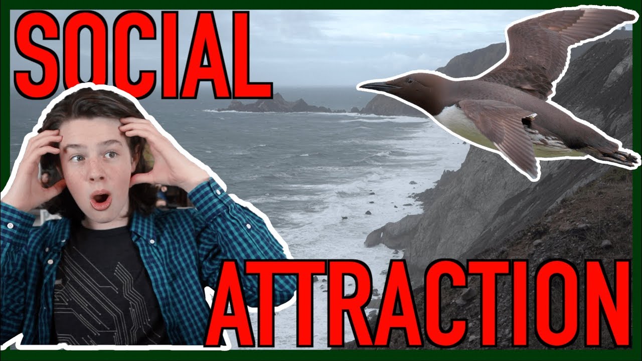 How to Repopulate a Species Using Psychology