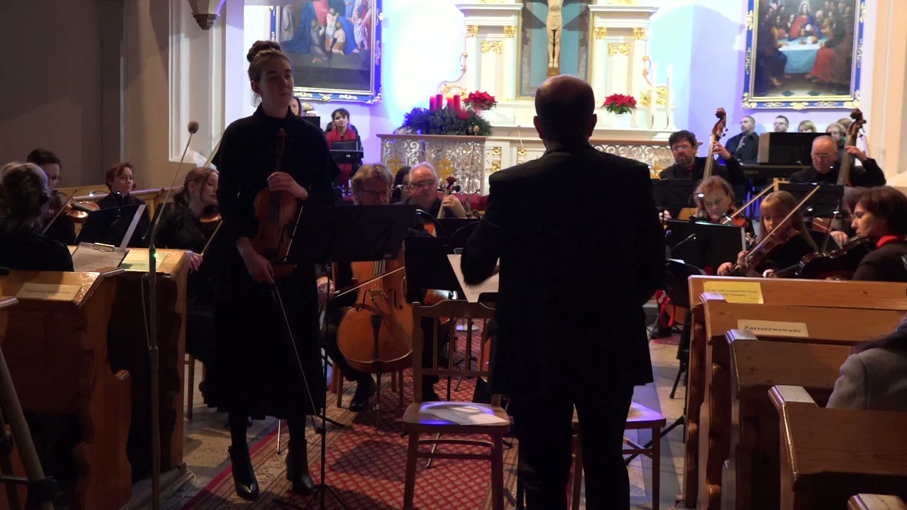 Koncert  charytatywny dla OSP Golesz&oacute;w Artis Symphony Orchestra