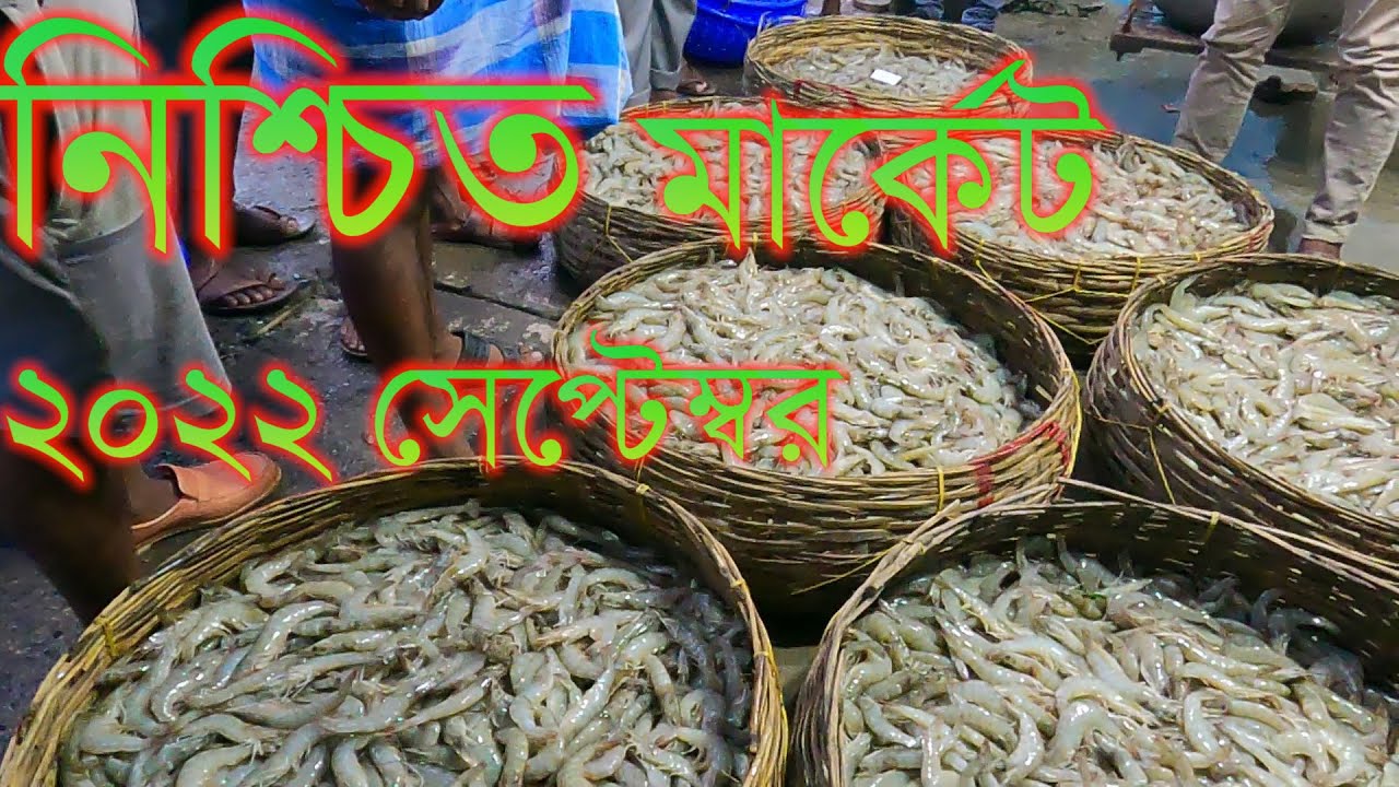 ২০২২ সালের সেপ্টেম্বরে নিশ্চিন্তপুর বাজারে পাইকিরি মাছের দাম খুবই কম || Indian fish market ||
