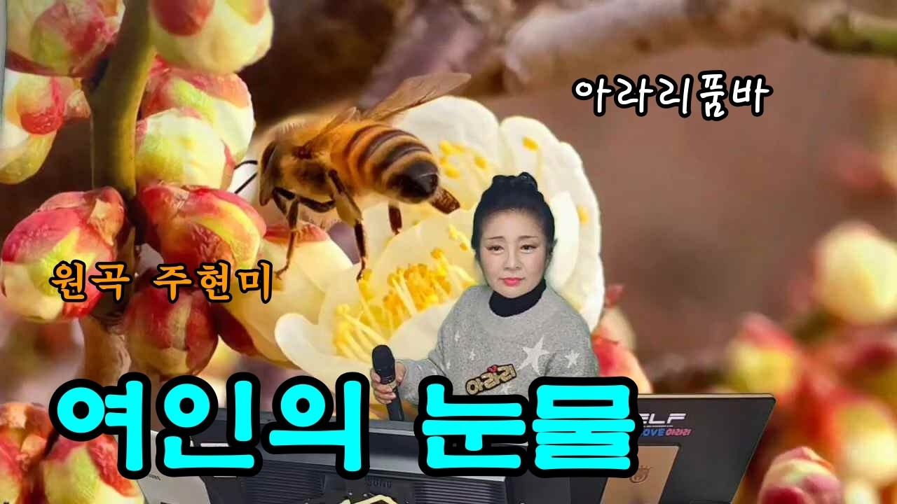 아라리품바 - 여인의 눈물(원곡 주현미)