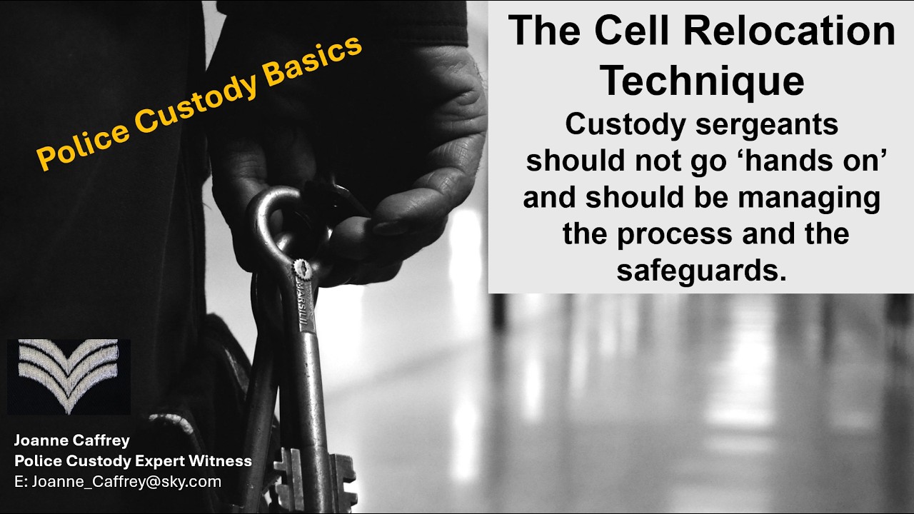 Custody sergeants should not be using force on detainees in police custody