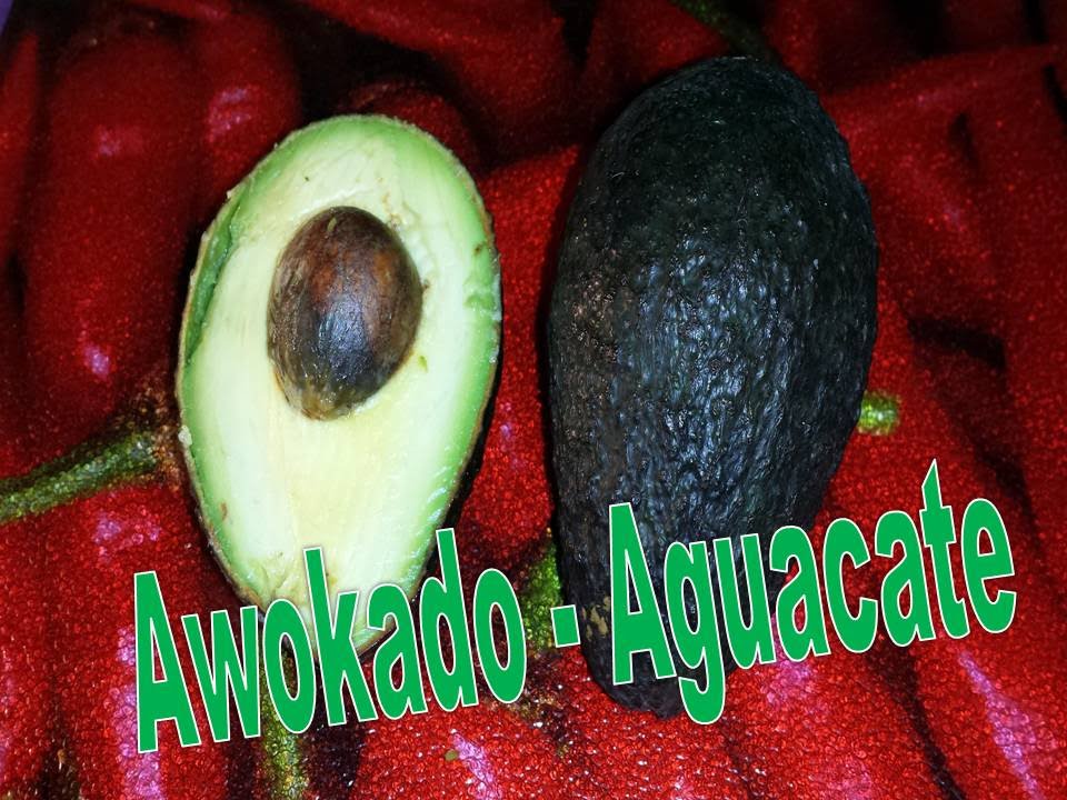 Awokado - Jak wybrać i obrać awokado - Aguacate