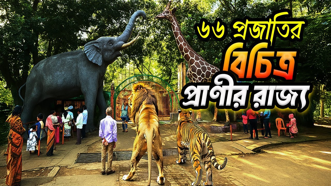 ৬৬ প্রজাতির ৫২০ প্রাণী। চট্টগ্রাম চিড়িয়াখানার বাস্তব চিত্র কেমন?