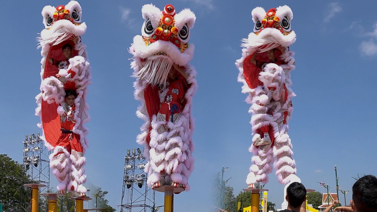 Tập Múa Lân nhảy Mai Hoa Thung Cực Hay 2024 / LSR Xóm Lưới thi Giải Lân Sư Rồng Quốc Tế Thái lan