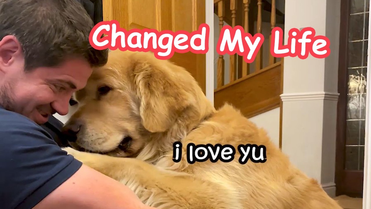 7 Ways Marley Changed My Life