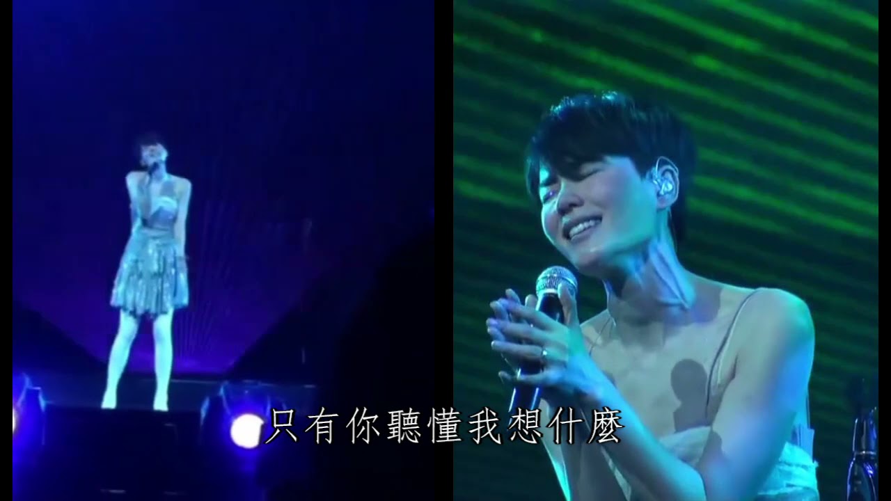 【巡唱】王菲 Faye Wong - 臉 Live 2011 (完整版)