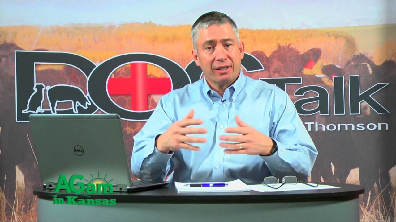 DocTalk - What Causes Bloat in Cattle - January 4, 2016