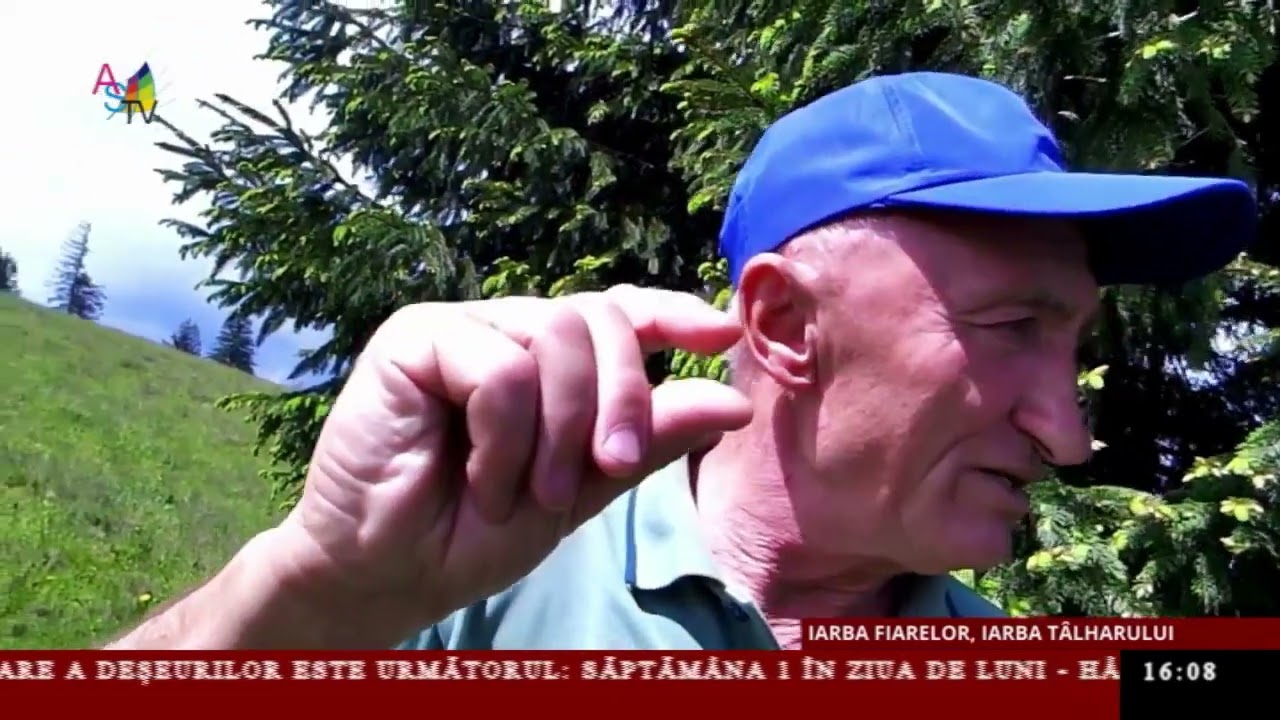 Dărnicia naturii - Iarba fiarelor, iarba tâlharului