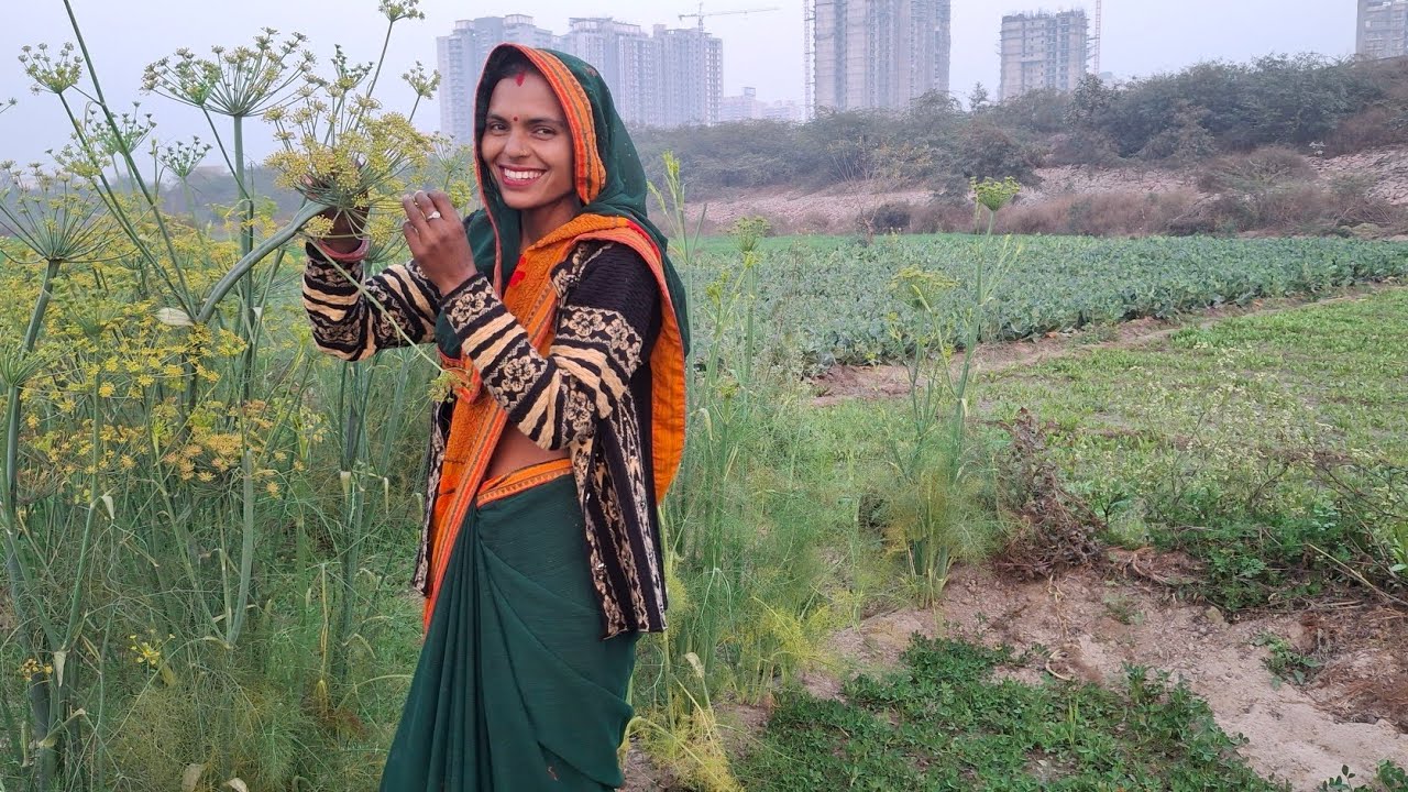 शहर के बीचों-बीच हरे-भरे खेत 🌾 | नदी के पास गाँव की शांति | Chhatrapal Vlogs