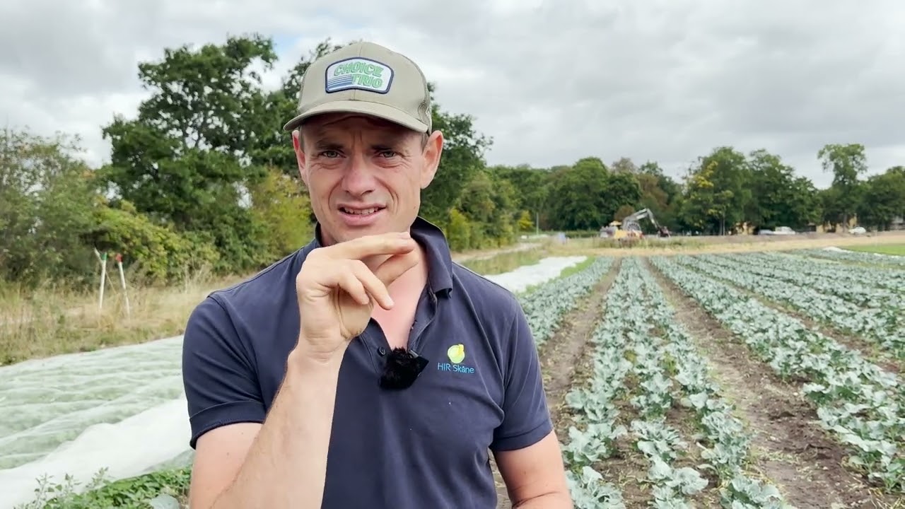 Oskar Hanssons nyttodjursprojekt