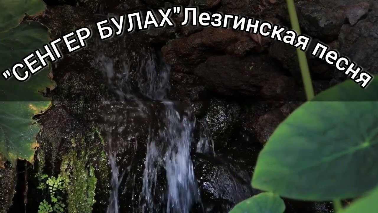 СЕНГЕР БУЛАХ-Лезгинская песня.Лезги манияр.подпишись👍🏻Все искали эту песню💣👍🏻