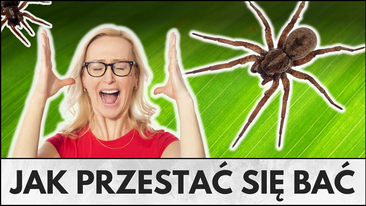 ARACHNOFOBIA