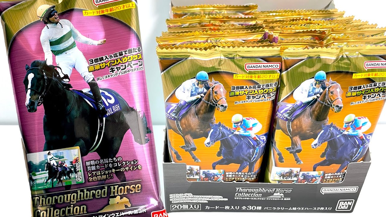 サラブレッドホースコレクション ツインウエハース 第3R『1BOX 開封』Thoroughbred Horse Collection Race 3 Card Horse Racing カード 競馬