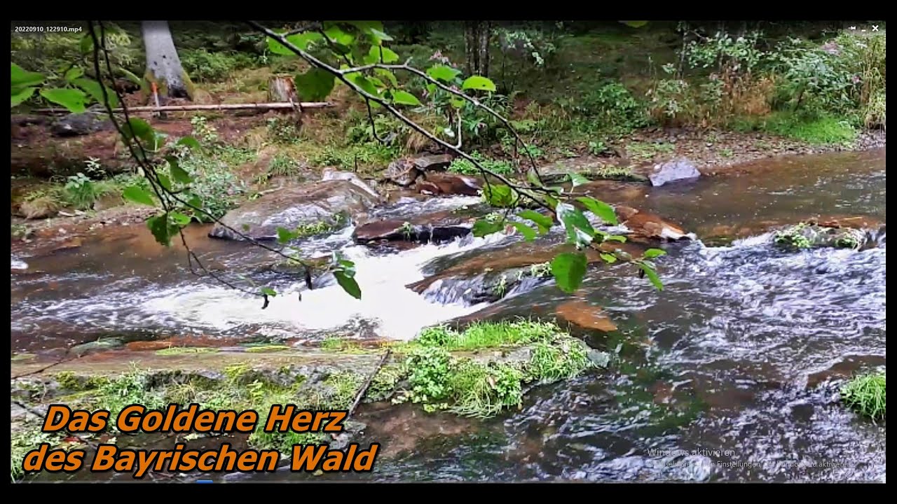 Im goldenen Herz des Bayerischen Wald