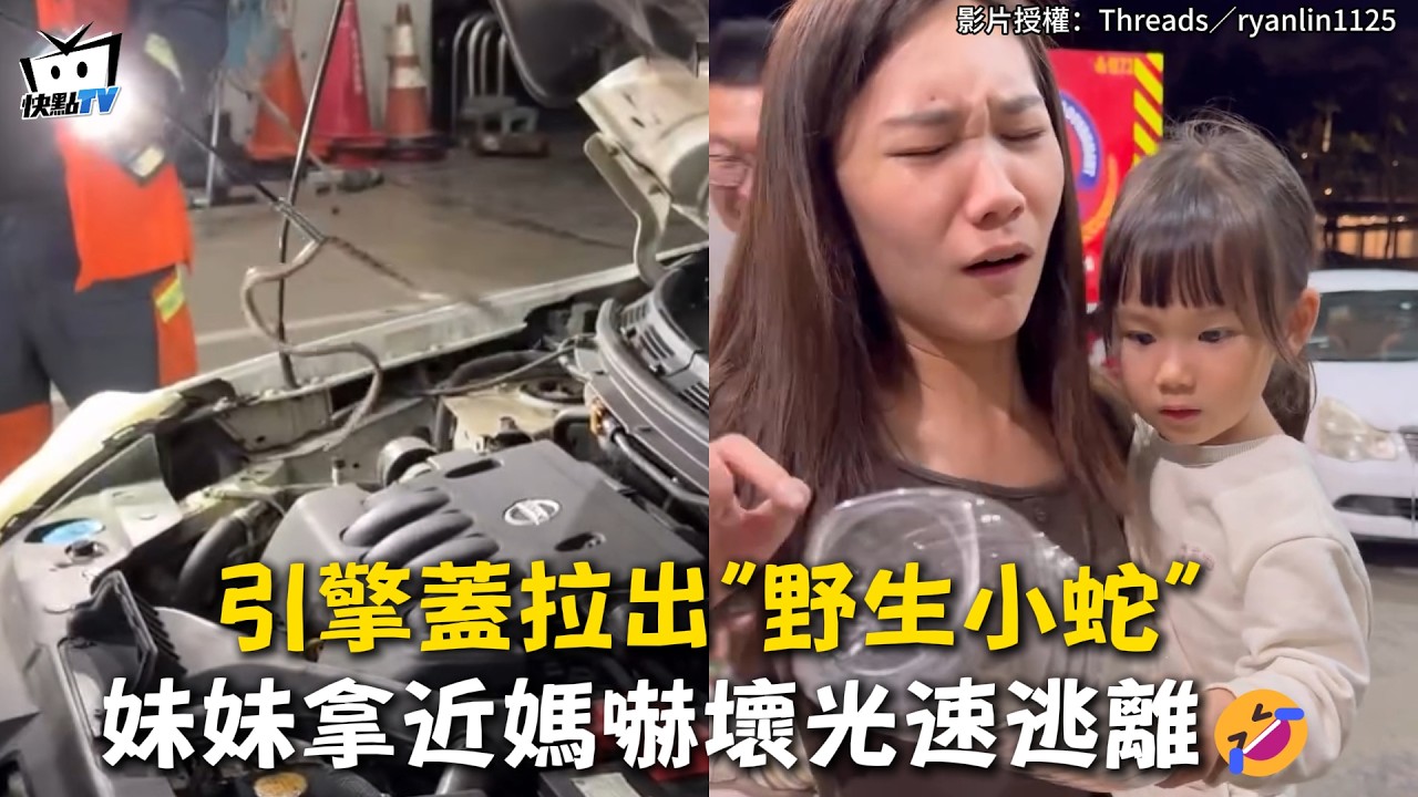 【拜託先不要】引擎蓋拉出「野生小蛇」 妹妹拿近媽嚇壞光速逃離🤣