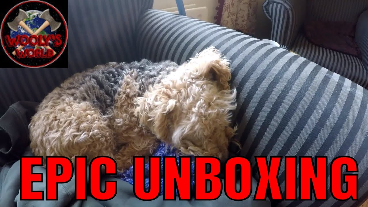 EPIC UNBOXING, Husqvarna 365 x-torq