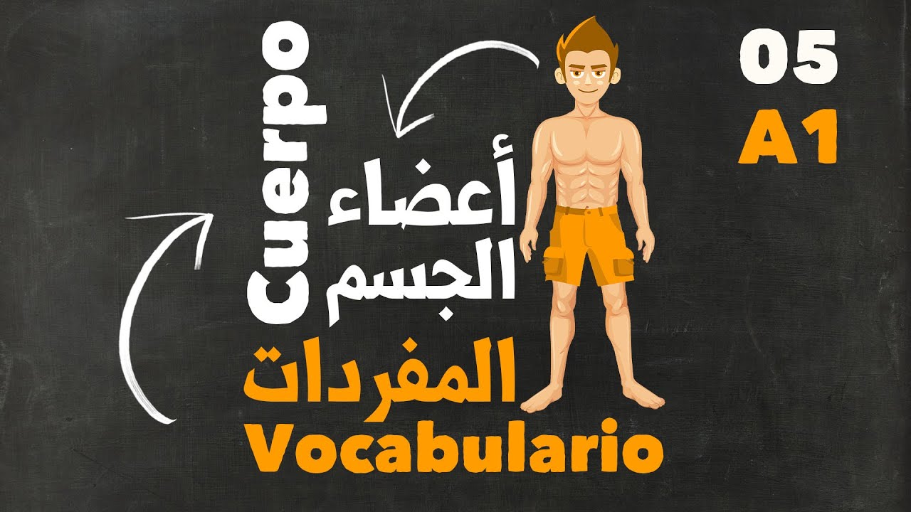 أهم المفردات و الكلمات في اللغة الاسبانية أعضاء الجسم
