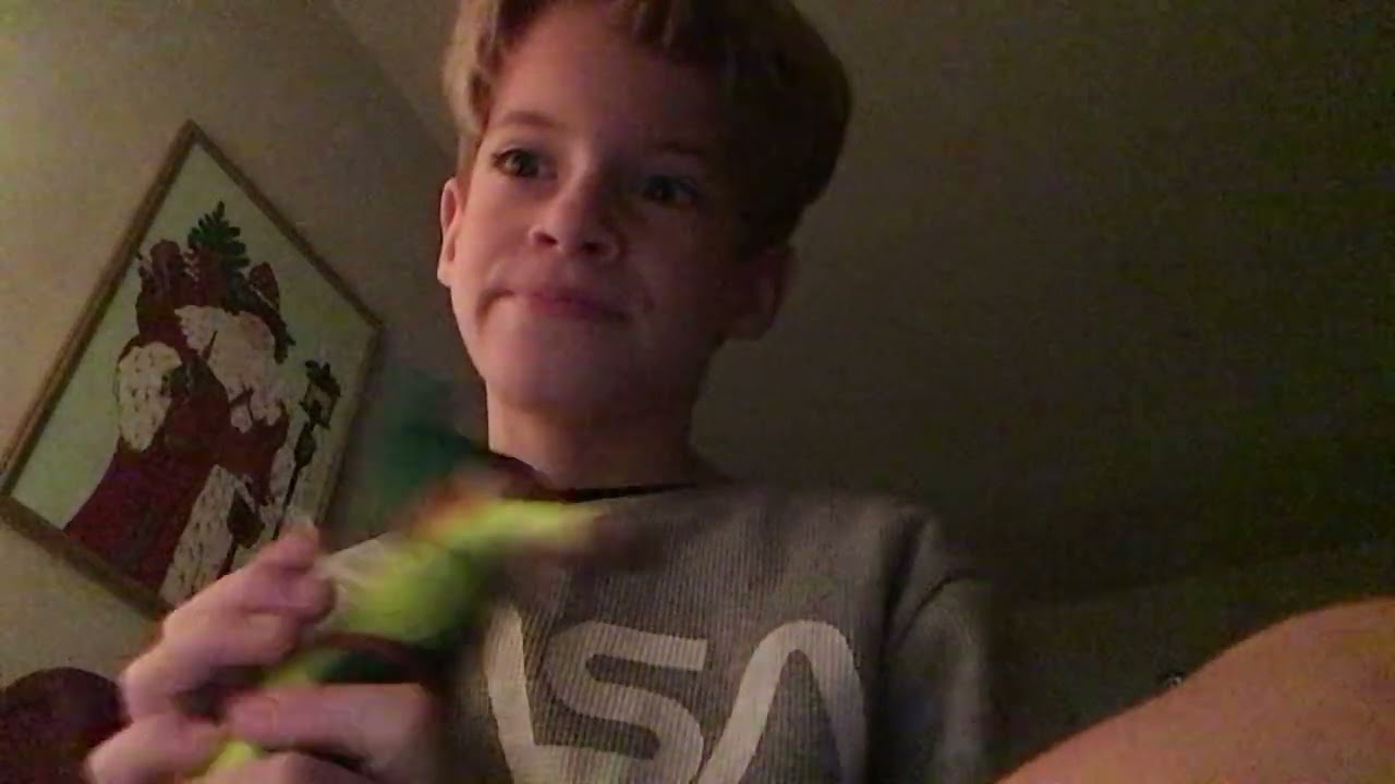 I unboxed an elf mate two!