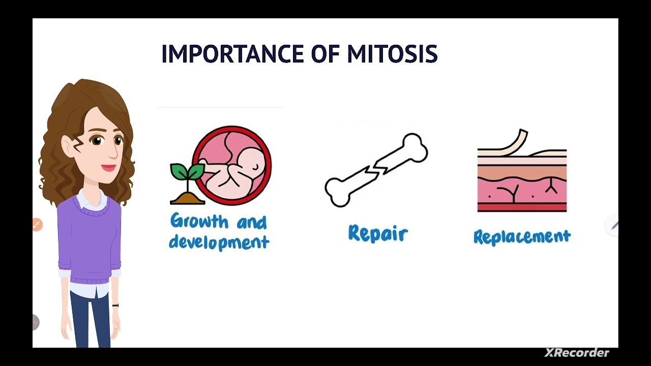 @HR_Academy-SA mitosis grade 9ᵗʰ Biology (English & urdu)