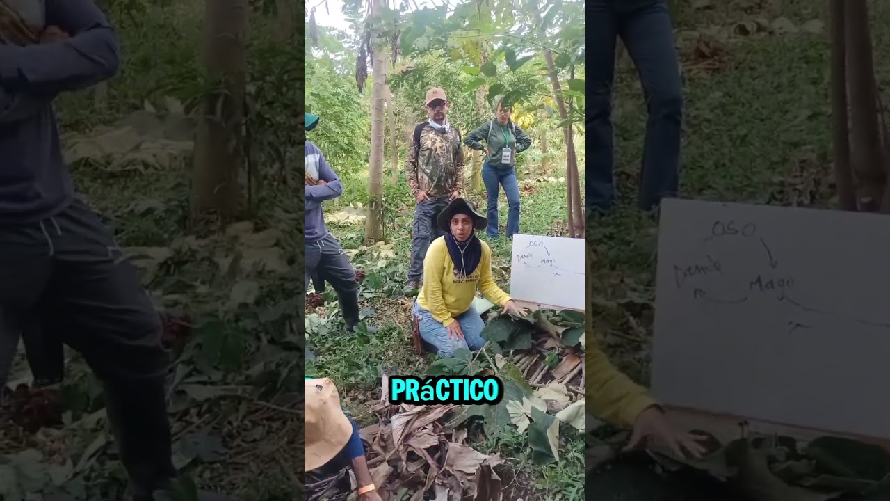 Dynamic agroforestry workshop in Colombia