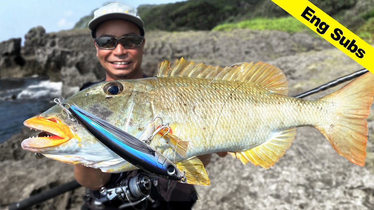 未開の地。未開の夢。ビッグゲーム。Caught Giant Emperor at Reef