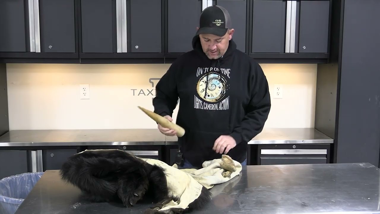 Turning Ear Edges