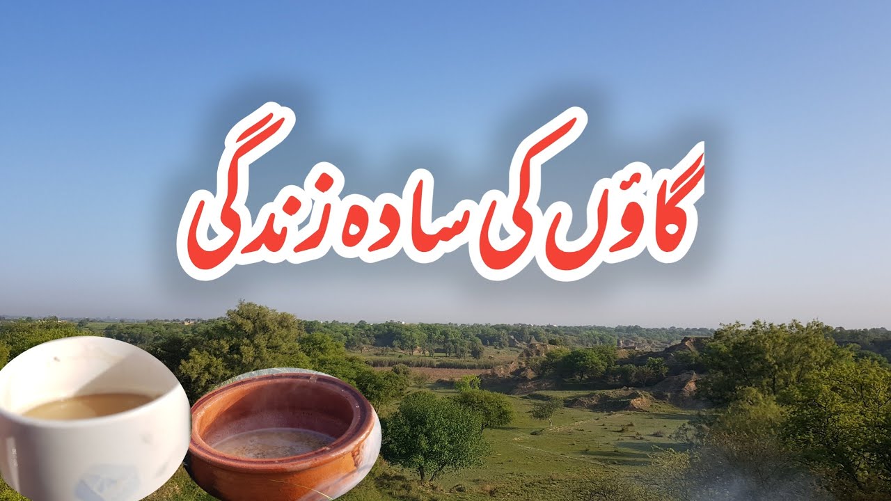 Morning Village Life || Desi Village Life || Morning Routine 2022