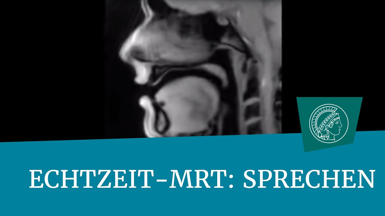 Echtzeit-MRT-Film: Sprechen