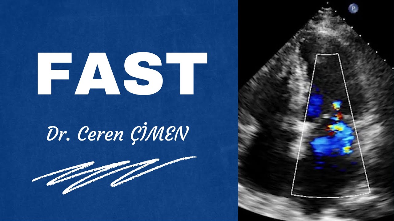 FAST Ceren ÇİMEN