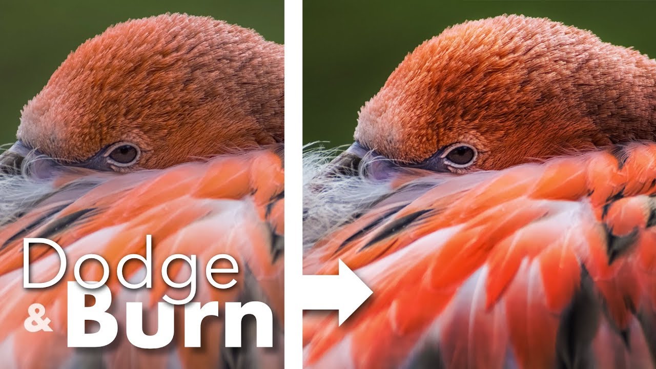 Dodge and Burn | Affinity Photo Tutorial Deutsch