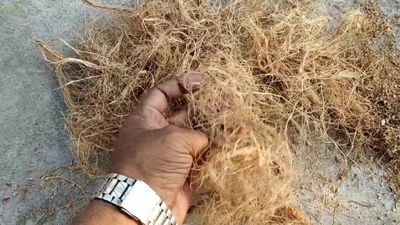 Best nesting material for finch bird.