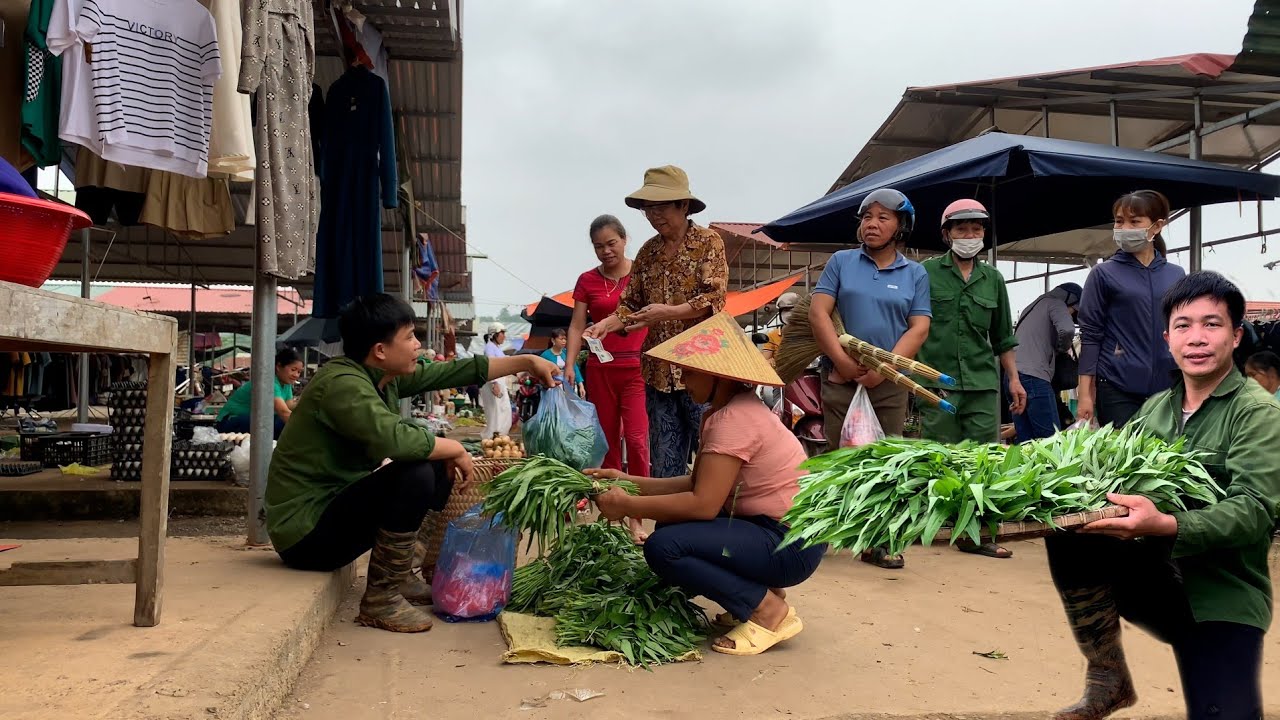 Improved farming: Harvest water spinach and sell it at the market to make more cucumber trellises