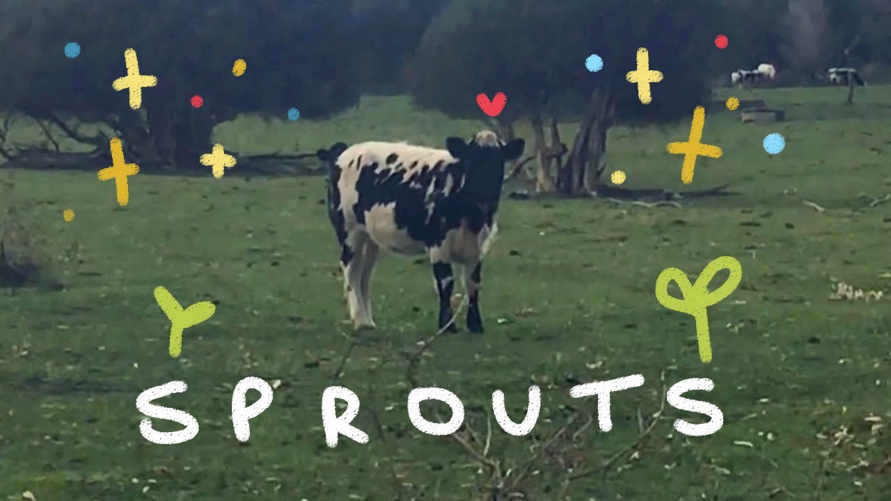 sprouts  (lyric video) rosarrie w/ Winter Foe