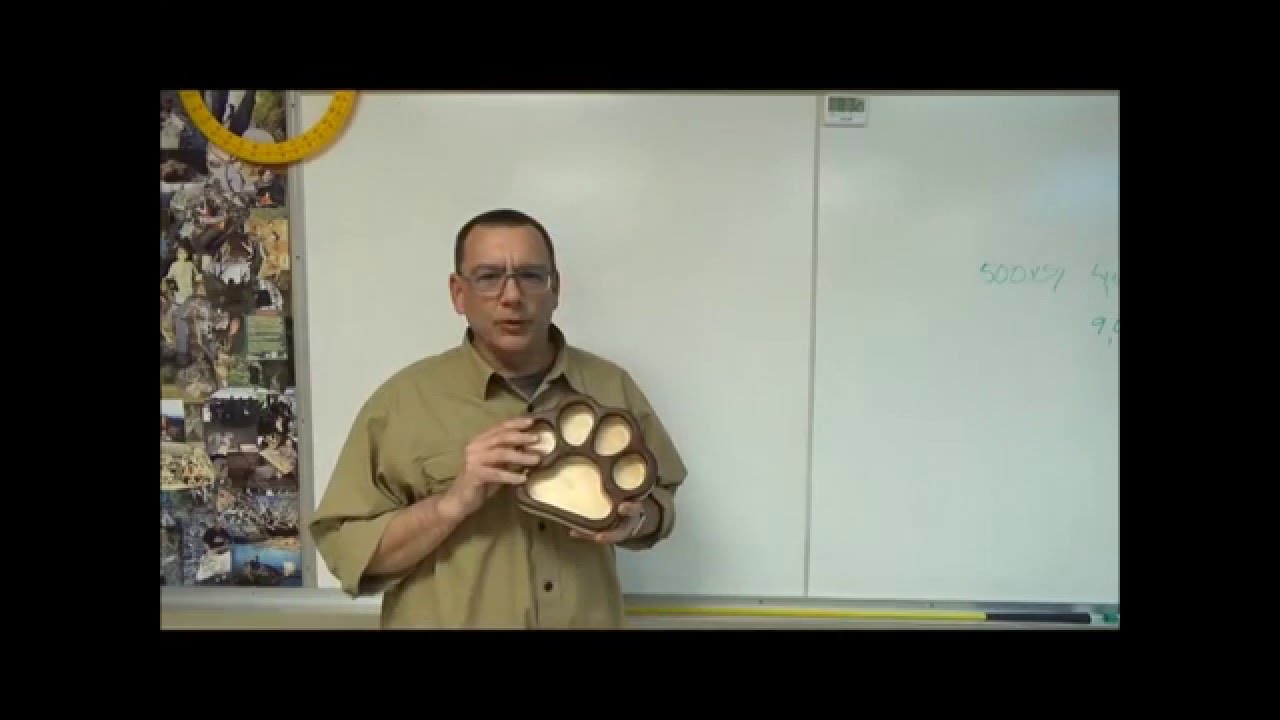 VCarve Pro Video 9 Using More than One Cutting Tool