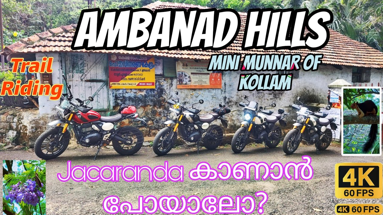 Ambanad Hills | Mini Munnar Of Kollam | Jacaranda Bloom | Complete video | Trail Riding #triumph