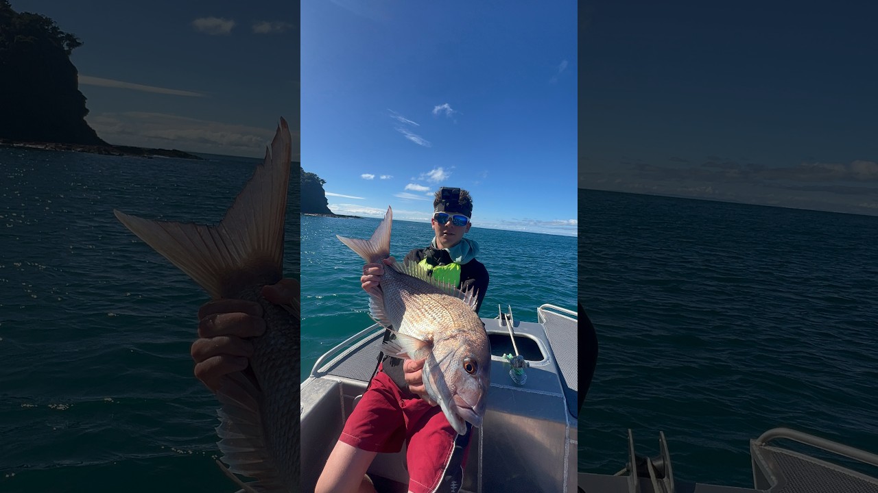 Casting straylines into the rocks for snapper | HAURAKI GULF