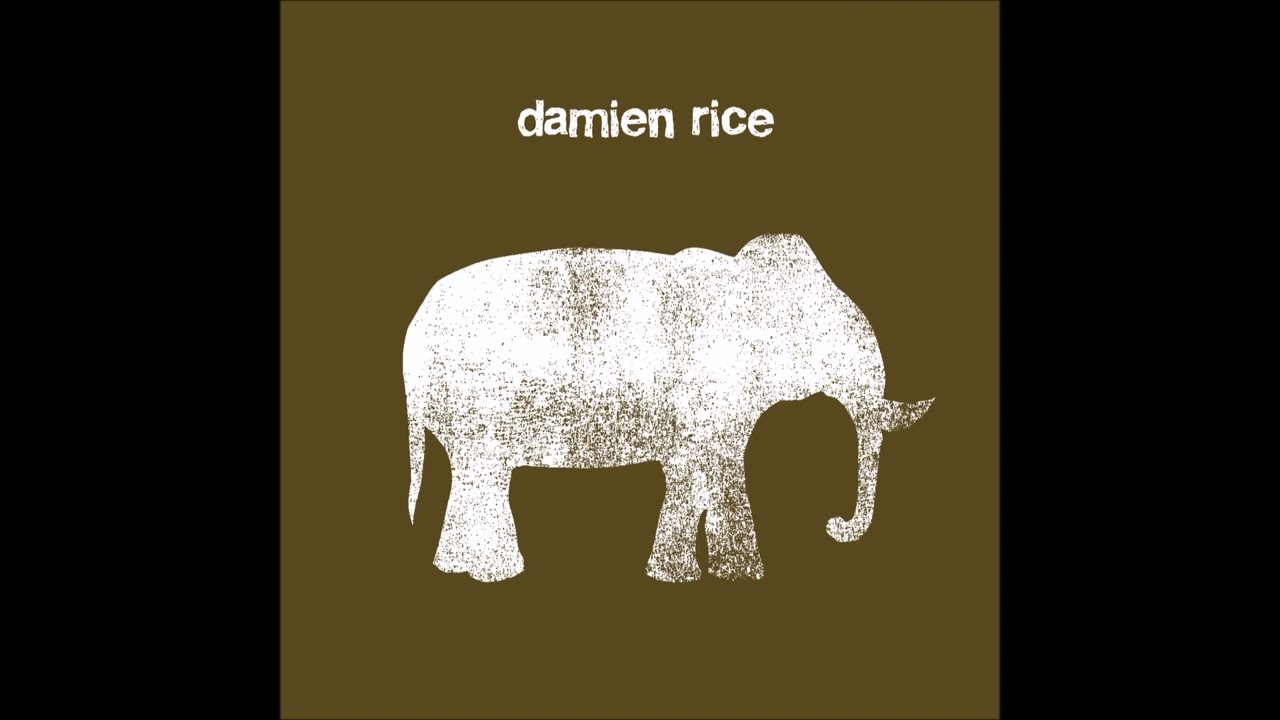 Damien Rice - Cannonball [radio remix - HQ]