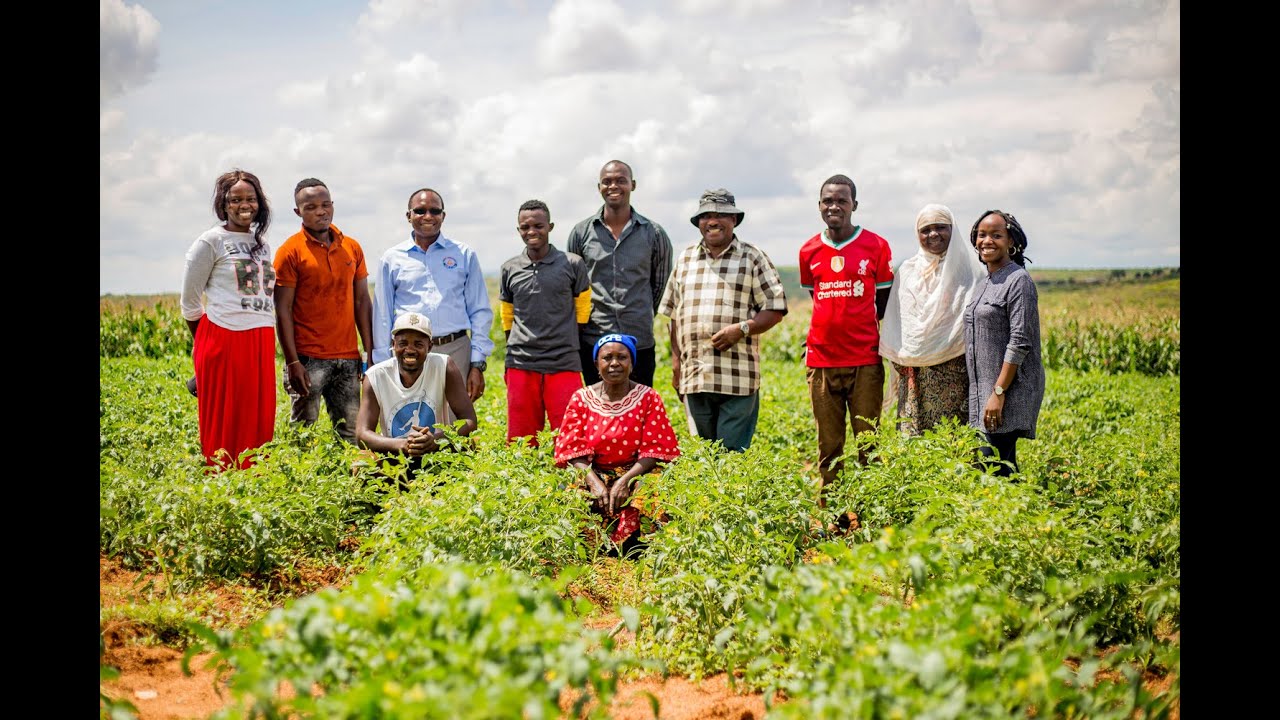 Transforming smallholder irrigation in southern Africa