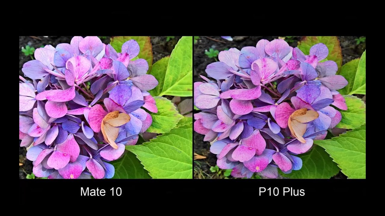 Huawei  Mate 10 Pro  Vs Huawei  P10 Plus Camera Campairison