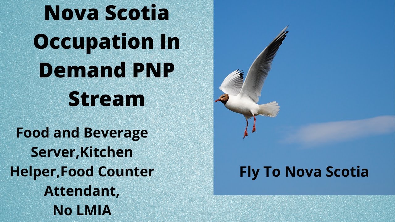 Nova Scotia  in demand PNP/نوا سکوشیا ان ڈیمانڈ پی این پی