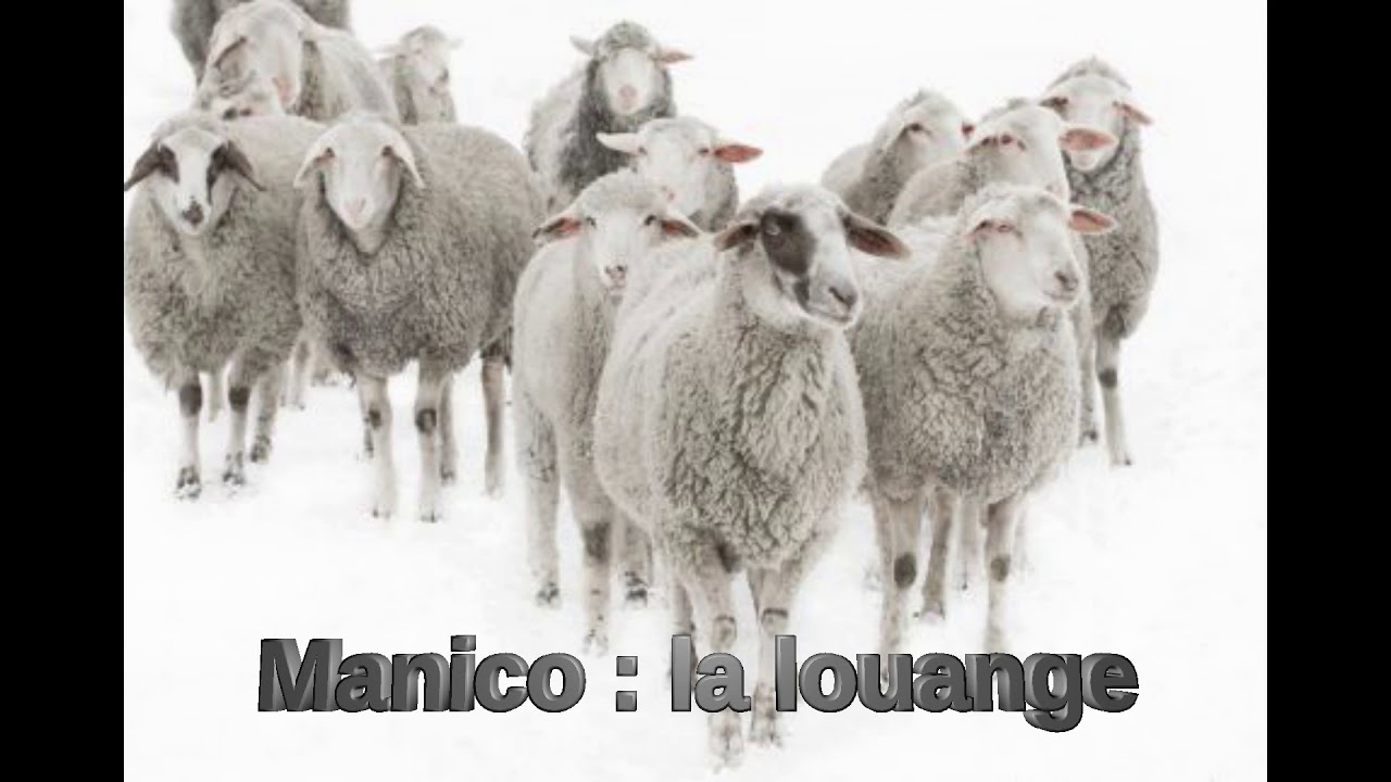 Pasteur Manico : la louange