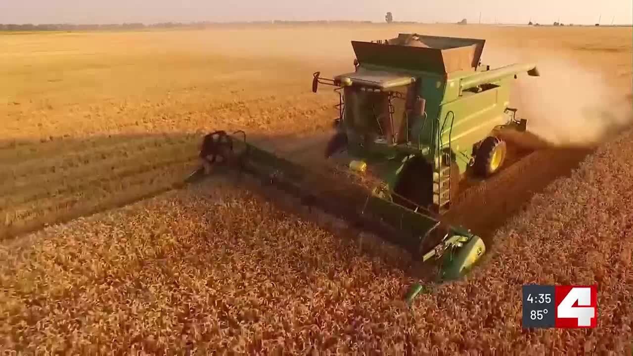 Foodbanks and Farmers hopeful for new Farm Bill before new year