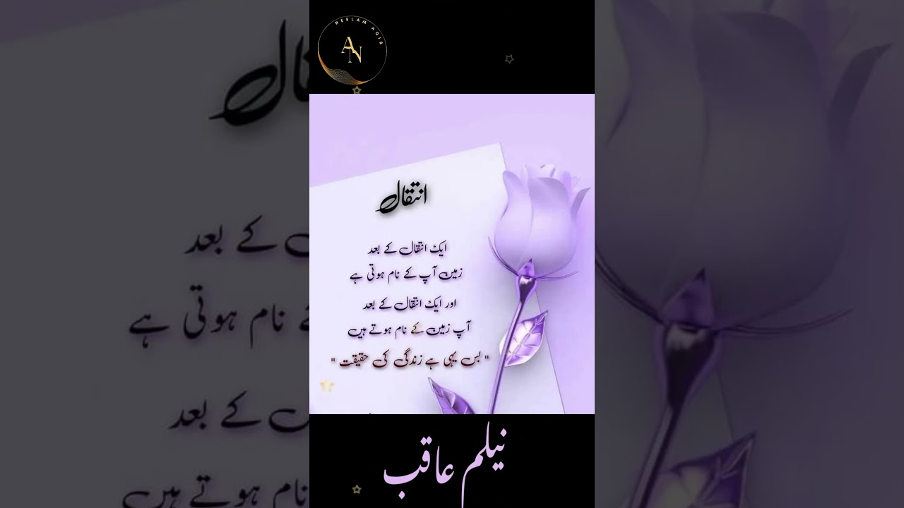 Motivational quote about life #intiqal#youtube #islamicquotes #islamicsayings #religiousquotes#love