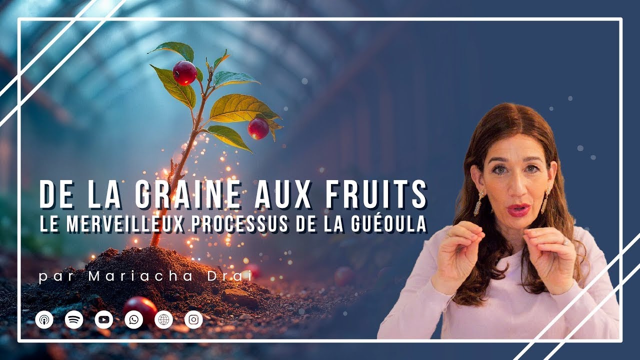 Rabbanite Mariacha Drai - Tou Bichvat-De la graine aux fruits–Le merveilleux processus de la guéoula