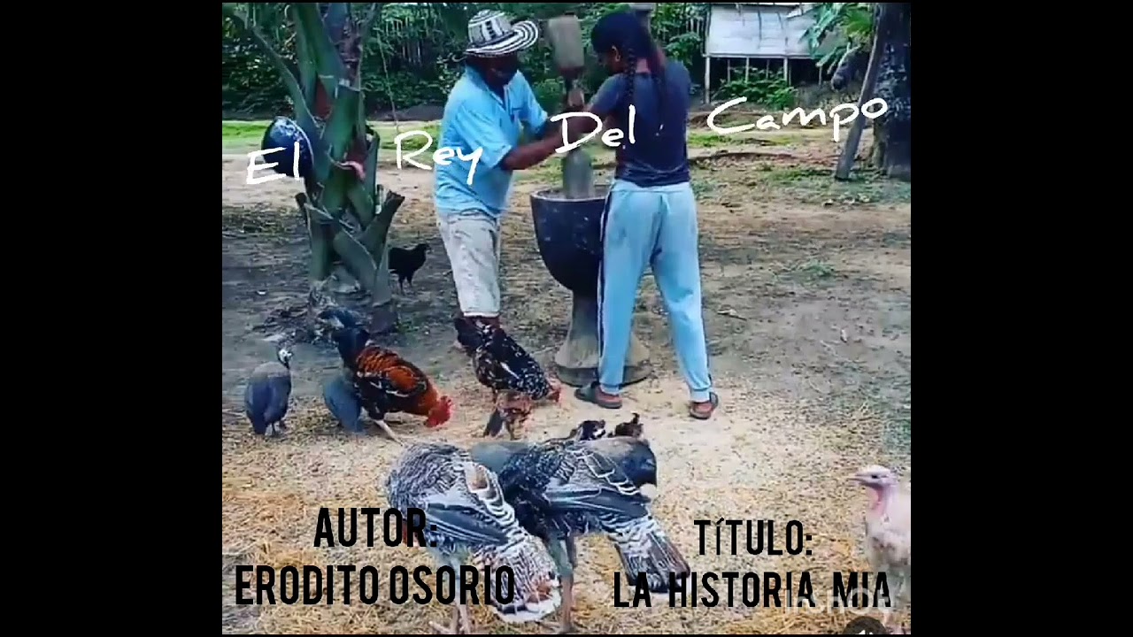 la historia mía erodito osorio